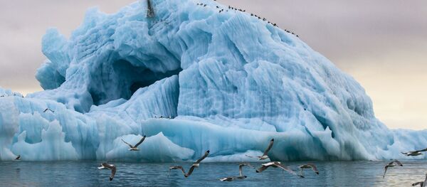 Arctique - Sputnik Afrique