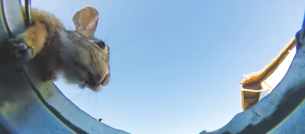 La meilleure illustration pour l’expression «L’eau est la vie» - Sputnik Afrique