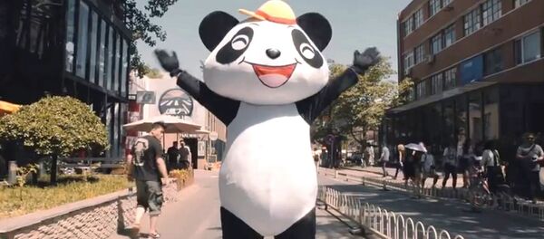 Un panda dansant dans le clip qui vante «La nouvelle route de la Soie» - Sputnik Afrique