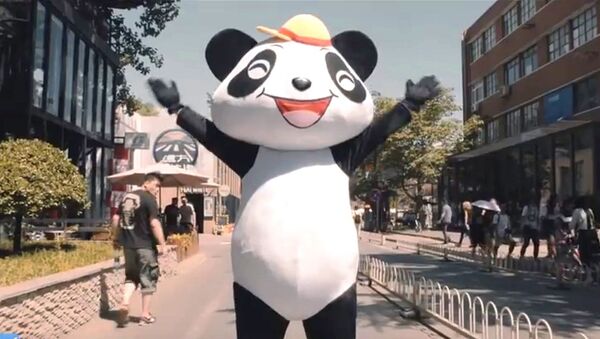 Un panda dansant dans le clip qui vante «La nouvelle route de la Soie» - Sputnik Afrique