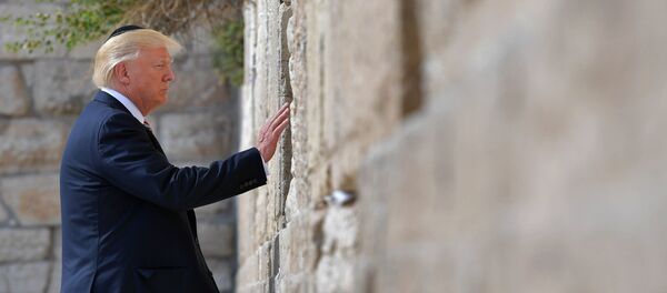 Donald Trump Donald Trump - Sputnik Afrique