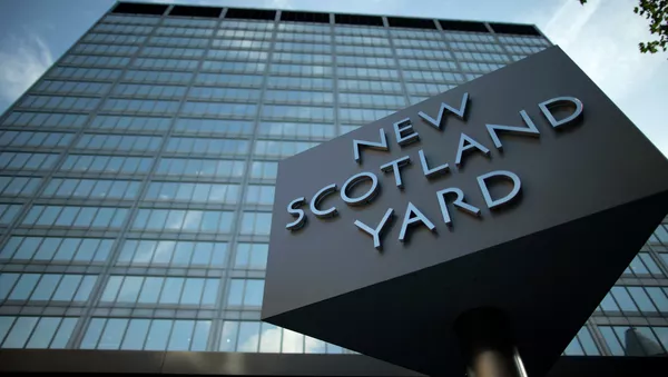 Scotland Yard - Sputnik Afrique
