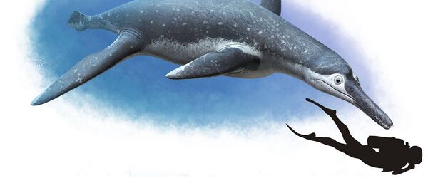 Художественное изображение Luskhan itilensis - Sputnik Afrique