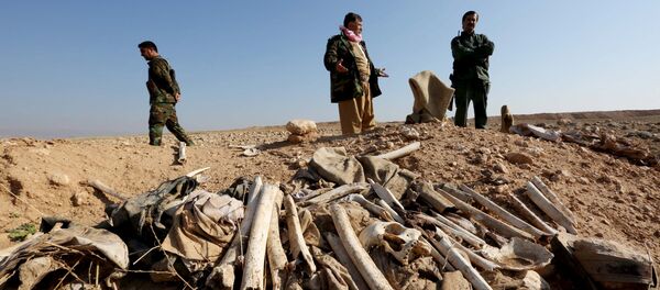 Fosse commune en Irak - Sputnik Afrique