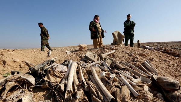 Irak: cinq charniers de Yézidis massacrés par Daech découverts à Sinjar - Sputnik Afrique