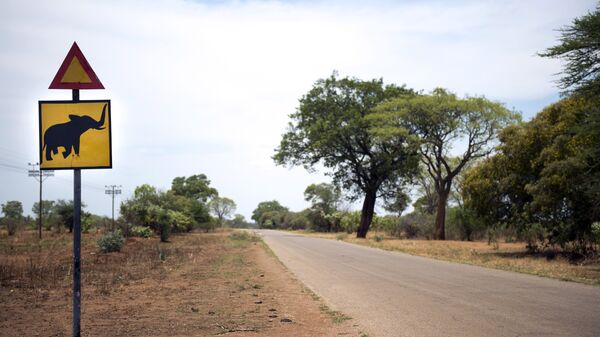 A road sign warns drivers from elephant road crossing on November 19, 2012, in Hwange National Park in Zimbabwe. - Sputnik Afrique