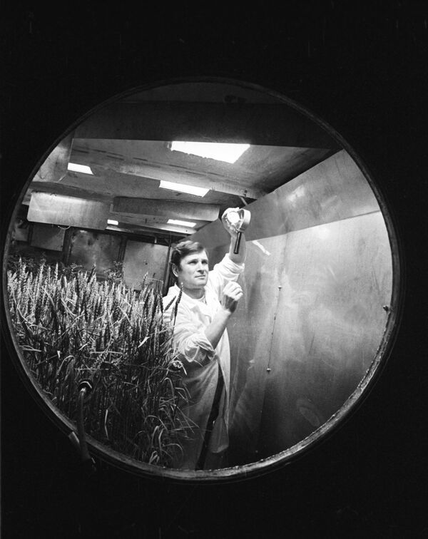 L'expérience soviétique BIOS 3  - Sputnik Afrique