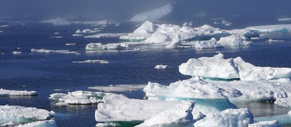 L'Arctique - Sputnik Afrique