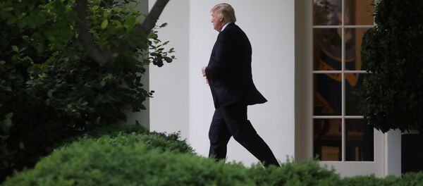 Donald Trump Donald Trump - Sputnik Afrique