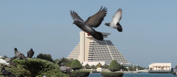 Qatar Qatar - Sputnik Afrique