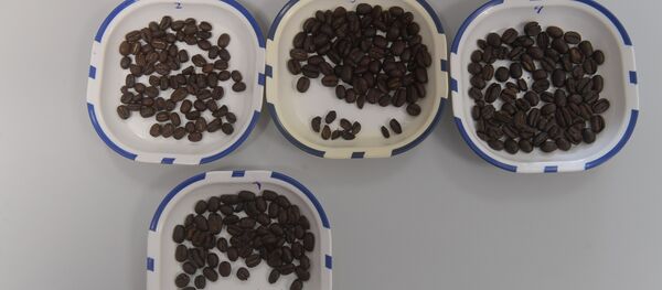Grains de café - Sputnik Afrique