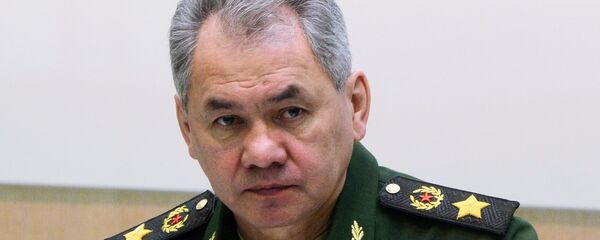 Sergueï Choïgou, ministre russe de la Défense - Sputnik Afrique
