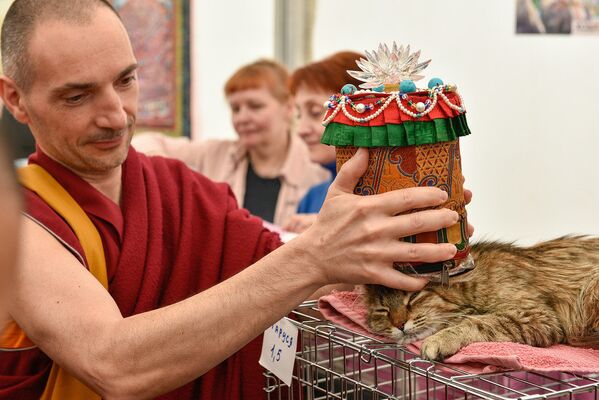 La première cérémonie bouddhiste de bénédiction des animaux à Moscou - Sputnik Afrique