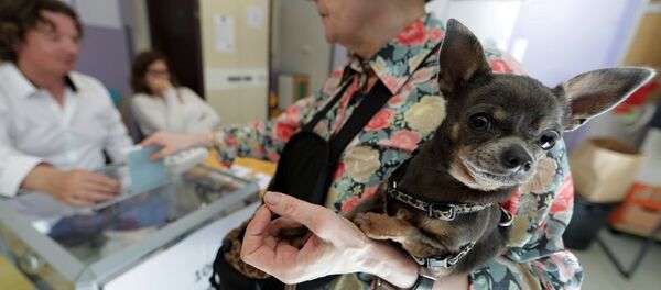 57% d'abstention, 10% de bulletins blancs: qu’en pensent les Français? 57% d'abstention, 10% de bulletins blancs: qu’en pensent les Français? - Sputnik Afrique