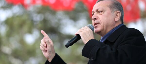 Ankara promet de construire son premier porte-avions - Sputnik Afrique