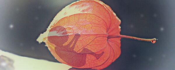 avortement - Sputnik Afrique