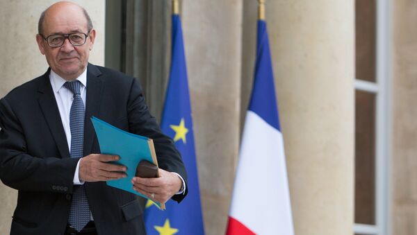 Министр иностранных дел Франции Жан-Ив Ле Дриан перед первым заседанием кабинета министров нового правительства Франции в Елисейском дворце. - Sputnik Afrique