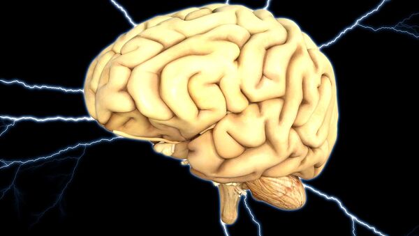 Cerveau humain (image d'illustration) - Sputnik Afrique