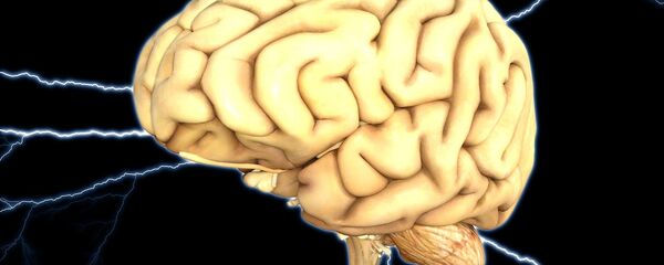 Human brain - Sputnik Afrique