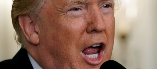 Donald Trump, presidente de EEUU - Sputnik Afrique