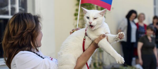 Achille - Sputnik Afrique