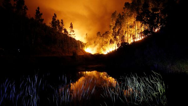 A forest fire is seen near Bouca in central Portugal - Sputnik Afrique
