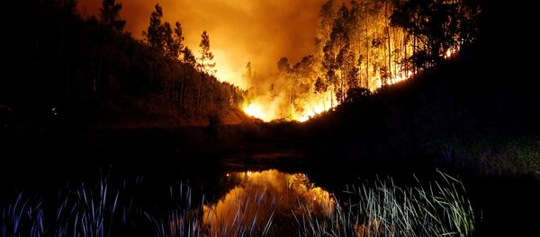 A forest fire is seen near Bouca in central Portugal - Sputnik Afrique