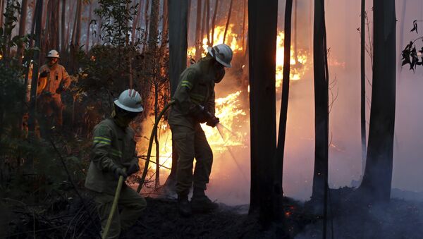 Firefighters of the Portuguese National Republican Guard work to stop a forest fire from reaching the village of Avelar, central Portugal, at sunrise - Sputnik Afrique