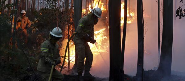 Firefighters of the Portuguese National Republican Guard work to stop a forest fire from reaching the village of Avelar, central Portugal, at sunrise - Sputnik Afrique