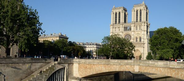 Собор Парижской Богоматери (Notre-Dame de Paris) на набережной Сены в Париже - Sputnik Afrique