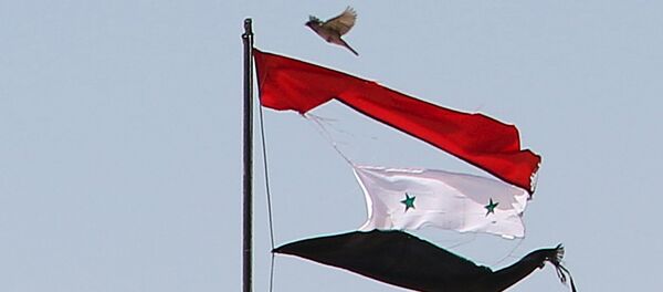 Die syrische Flagge - Sputnik Afrique