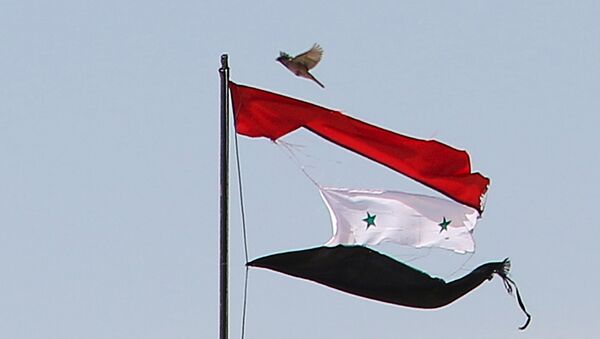 Die syrische Flagge - Sputnik Afrique