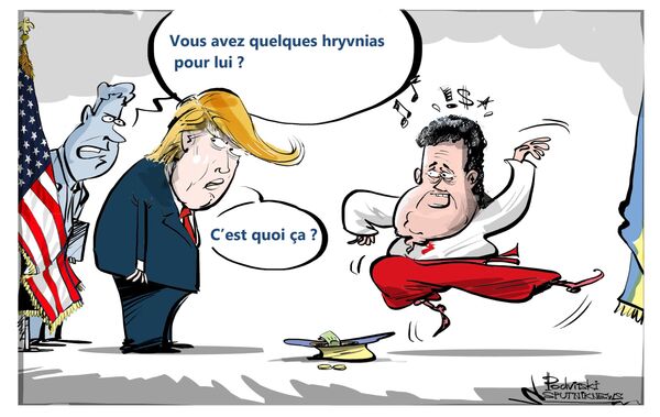 Rencontre entre Donald Trump et son homologue ukrainien Piotr Porochenko Rencontre entre Donald Trump et son homologue ukrainien Piotr Porochenko - Sputnik Afrique