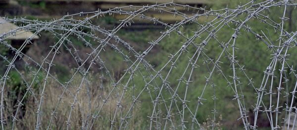 Les hauteurs du Golan - Sputnik Afrique