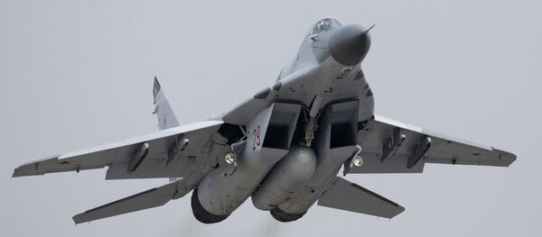 Un MiG-29 - Sputnik Afrique