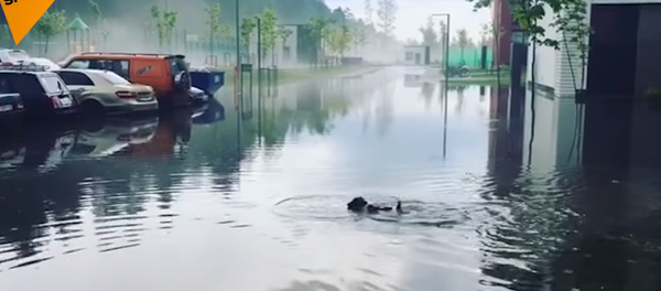 Moscou a besoin de l’Arche de Noé: un puissant orage s’est abattu sur la capitale russe - Sputnik Afrique