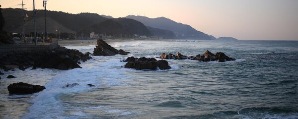 Large du Japon - Sputnik Afrique