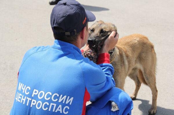 Једини спасилац из Ниша на четири ноге има омиљену играчку, лопту направљену од ужади искоришћених у обукама ватрогасаца-спасилаца. - Sputnik Afrique