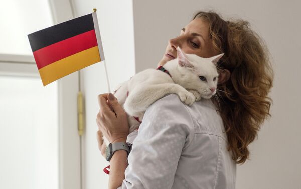 un chat de l’Ermitage prédit la victoire de l’Allemagne - Sputnik Afrique
