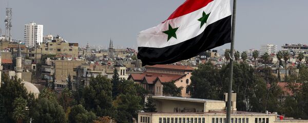 Damas - Sputnik Afrique