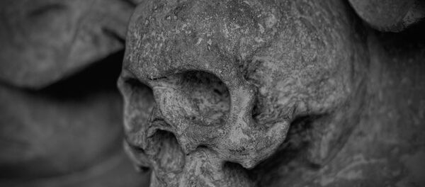 Crâne - Sputnik Afrique