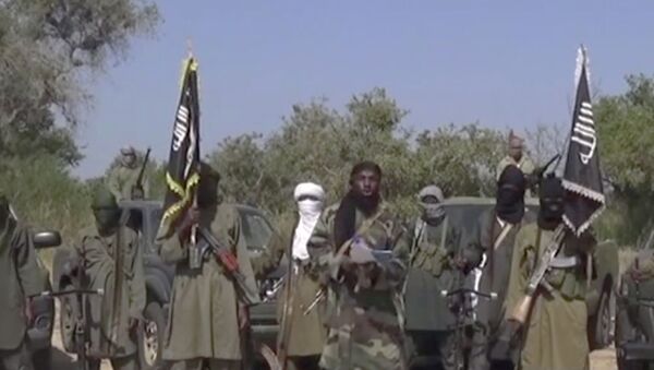 Combattants de Boko Haram - Sputnik Afrique