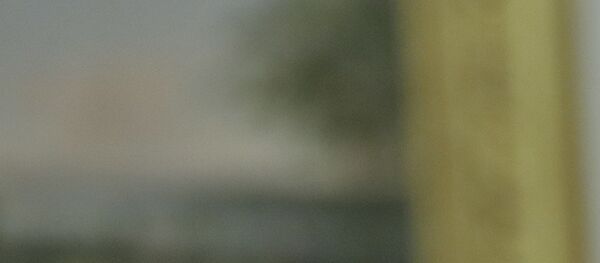 Donald Trump, président des Etats-Unis - Sputnik Afrique