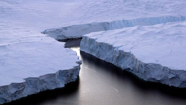 Le détachement d’un glacier antarctique géant. Archive photo - Sputnik Afrique