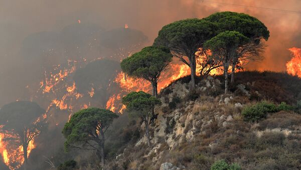 This photograph taken on July 10, 2017, shows fire ravaging a hill in the Annunziata district of Messina. - Sputnik Afrique