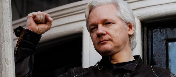 WikiLeaks founder Julian Assange is seen on the balcony of the Ecuadorian Embassy in London, Britain, May 19, 2017 - Sputnik Afrique
