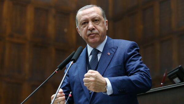 Turkish President Tayyip Erdogan addresses members of parliament from his ruling AK Party (AKP) during a meeting at the Turkish parliament in Ankara, Turkey, June 13, 2017 - Sputnik Afrique