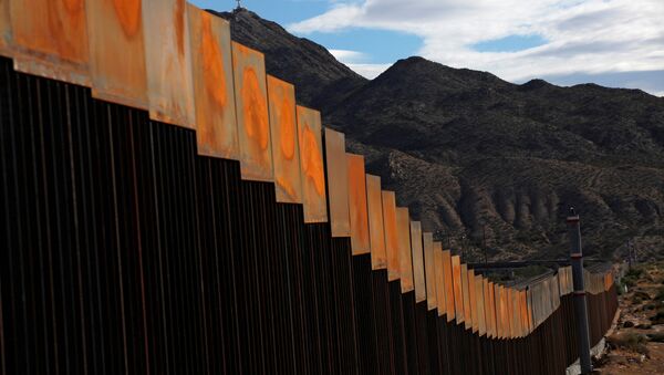 Projet de construction d'un mur à la frontière entre le Mexique et les États-Unis - Sputnik Afrique