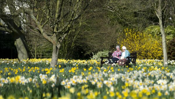 Two women chat on a bench in the Wilderness garden at the Hampton Court Palace in East Molesey, south west London - Sputnik Afrique