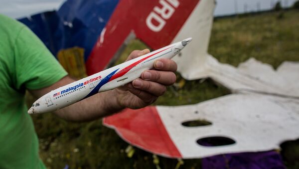 Lieu du crash du vol MH17 - Sputnik Afrique